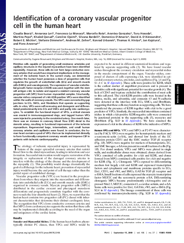 (PDF) Identification of a coronary vascular progenitor cell in the ...