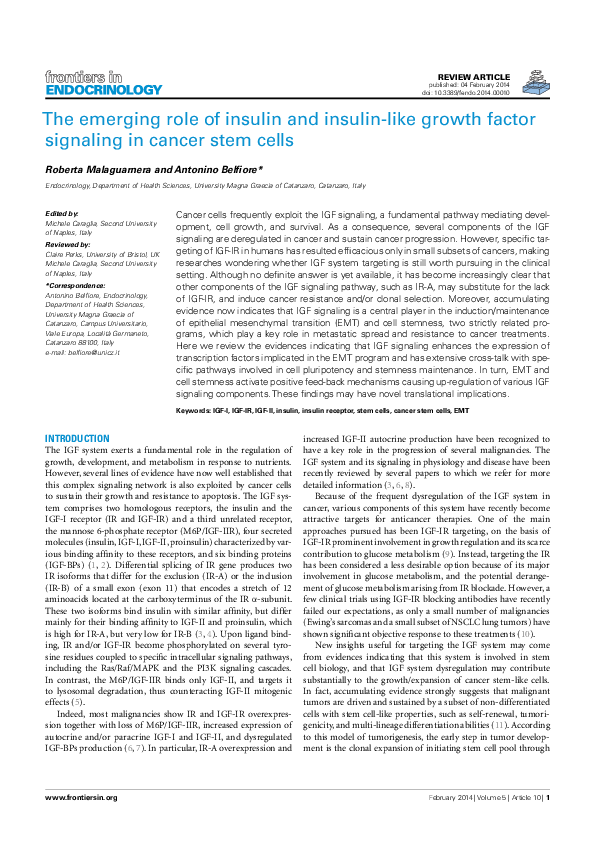 (PDF) The emerging role of insulin and insulin-like growth factor ...