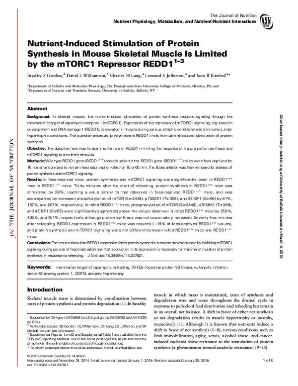 (PDF) Nutrient-Induced Stimulation of Protein Synthesis in Mouse ...