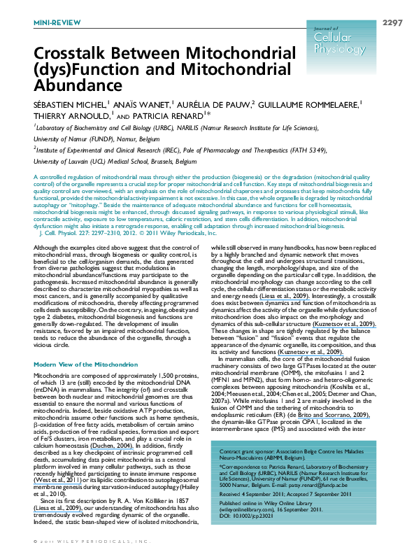 (PDF) Crosstalk between mitochondrial (dys)function and mitochondrial ...