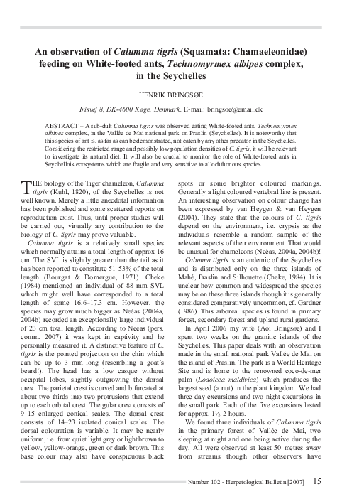 Observation essay assignment picture