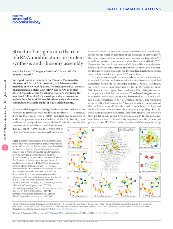 (PDF) Structural insights into the role of rRNA modifications in ...