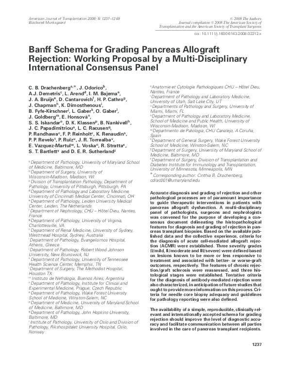 (PDF) Banff Schema for Grading Pancreas Allograft Rejection: Working ...