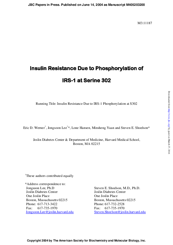 (PDF) Insulin Resistance Due to Phosphorylation of Insulin Receptor