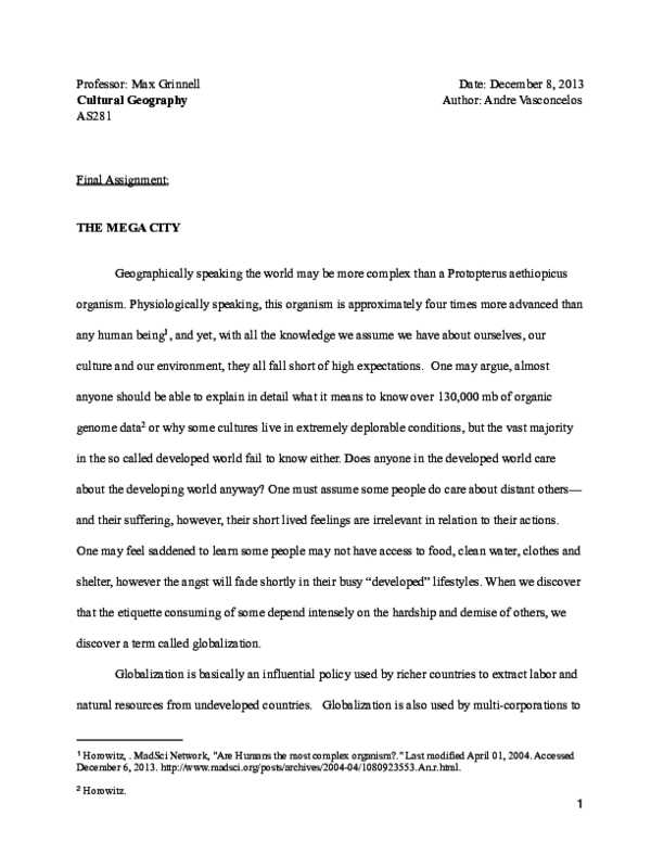 (PDF) Megacity