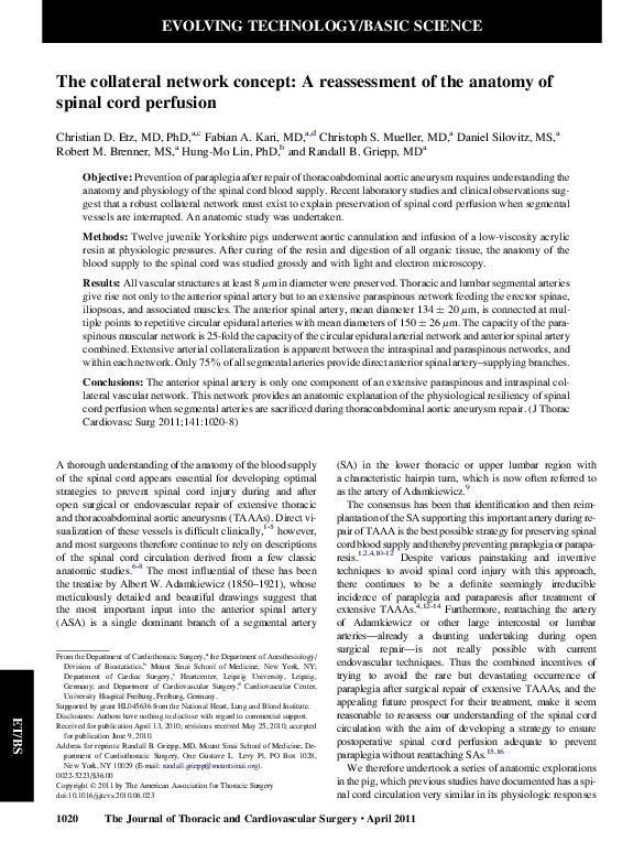(PDF) The collateral network concept: A reassessment of the anatomy of ...