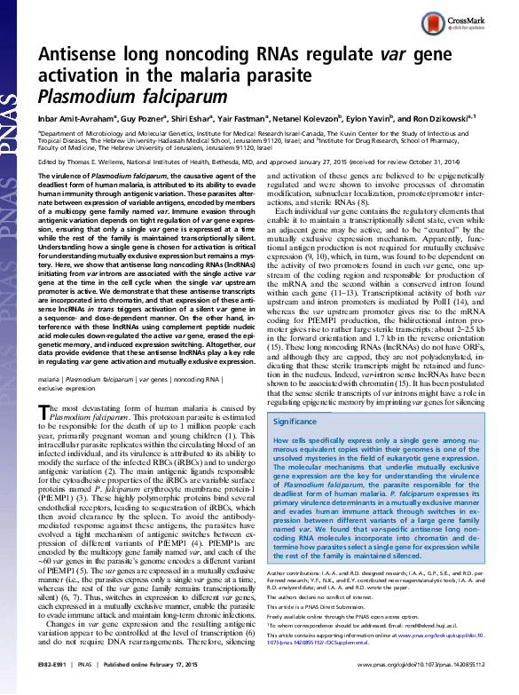 (PDF) Antisense long noncoding RNAs regulate var gene activation in the ...