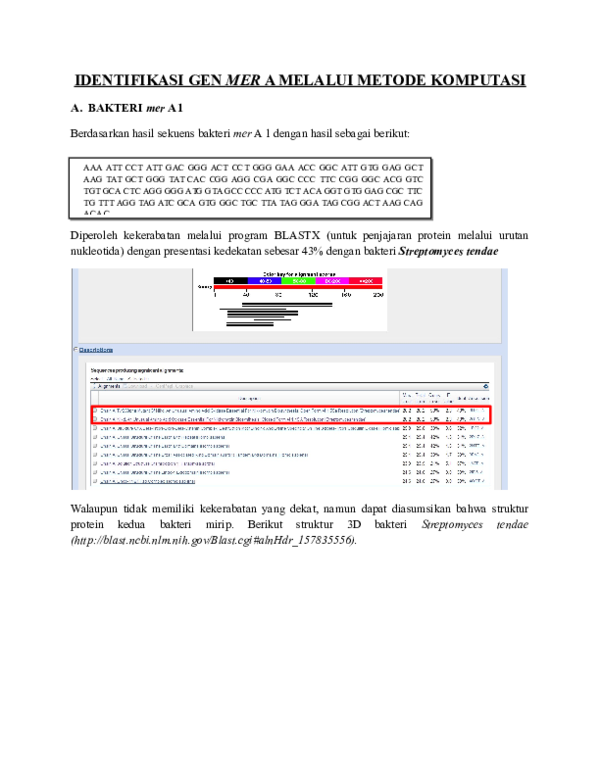 (DOC) Identifikasi Gen mer A melalui metode komputasi Repaired