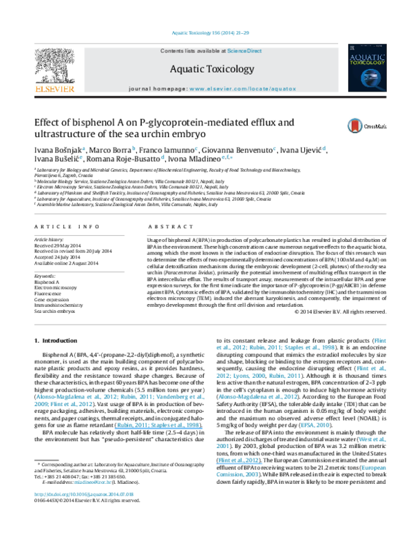 (PDF) Effect of bisphenol A on P-glycoprotein-mediated efflux and ...