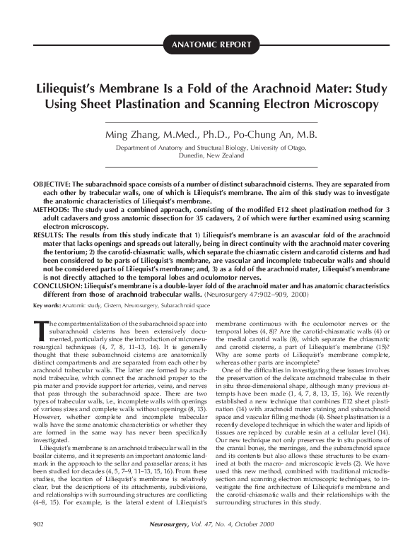 Essay on plastination 03 image