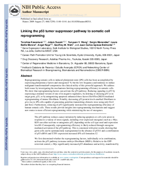 (PDF) Linking the p53 tumour suppressor pathway to somatic cell ...