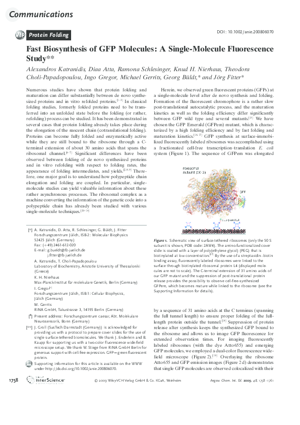 (PDF) Fast Biosynthesis of GFP Molecules: A Single-Molecule ...