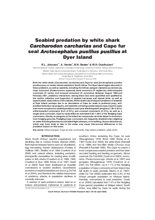 (PDF) Seabird predation by white shark and Cape fur seal at Dyer Island