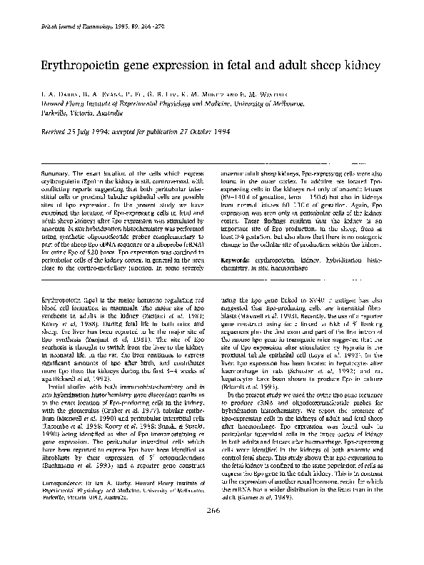 (PDF) Erythropoietin gene expression in fetal and adult sheep kidney