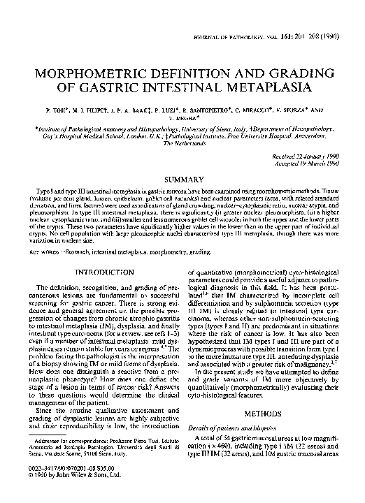 (PDF) Morphometric definition and grading of gastric intestinal metaplasia
