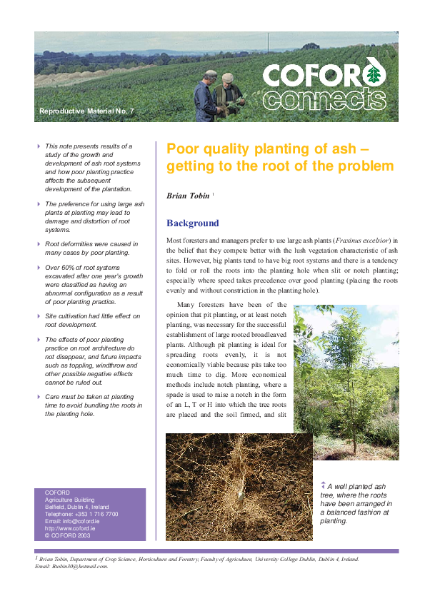 (PDF) Poor quality planting of ash–getting to the root of the problem