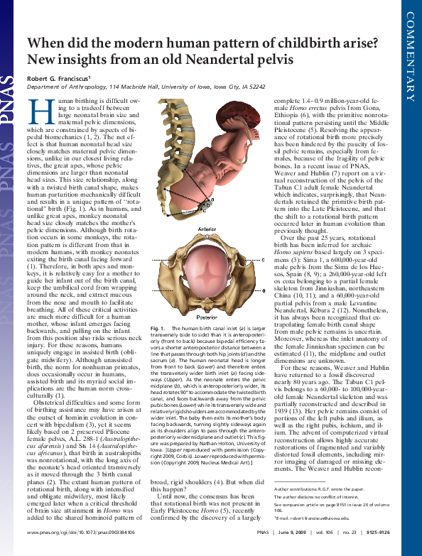 (PDF) When did the modern human pattern of childbirth arise? New ...