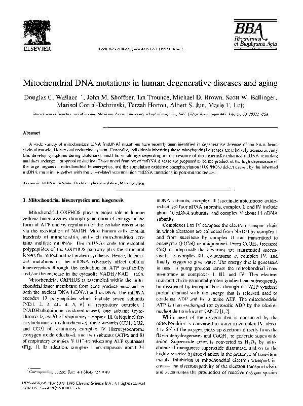 (PDF) Mitochondrial DNA mutations in human degenerative diseases and aging