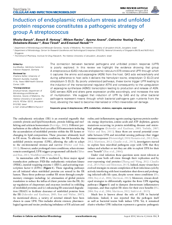 (PDF) Induction of endoplasmic reticulum stress and unfolded protein ...