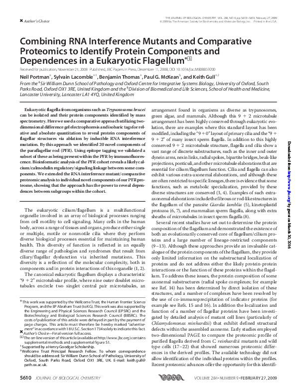 (PDF) Combining RNA Interference Mutants and Comparative Proteomics to ...