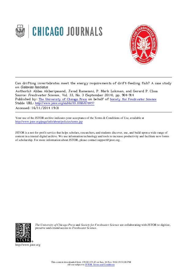 What should ray include in his job description for the director of engineering position? picture