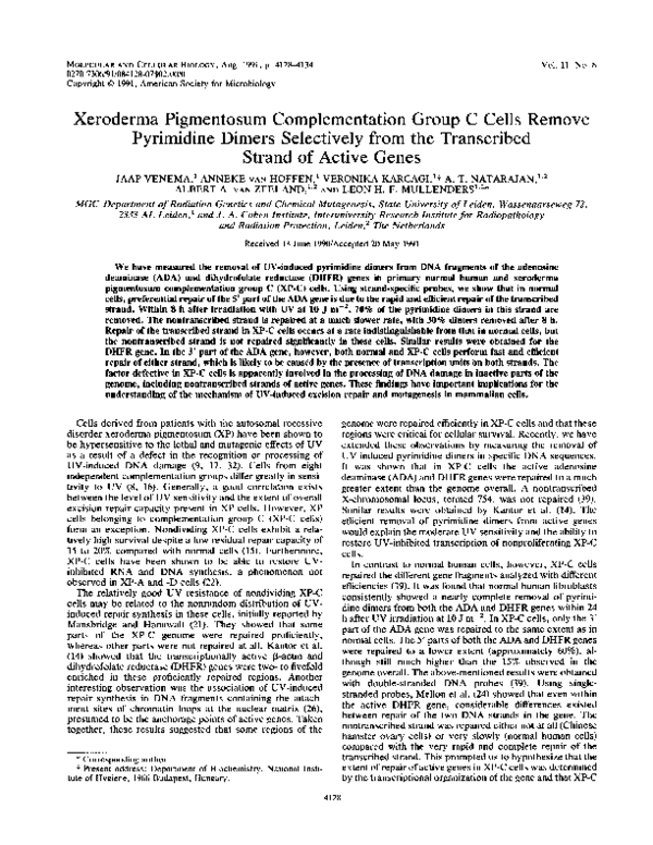 (PDF) Xeroderma pigmentosum complementation group C single-nucleotide ...