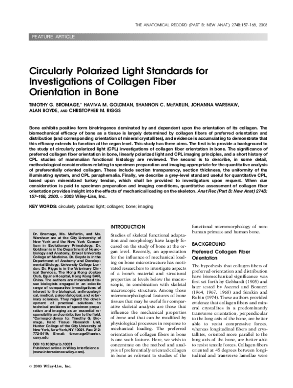 What is s and p polarization picture