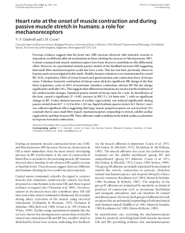  pdf heart rate at the onset of muscle contraction and during passive