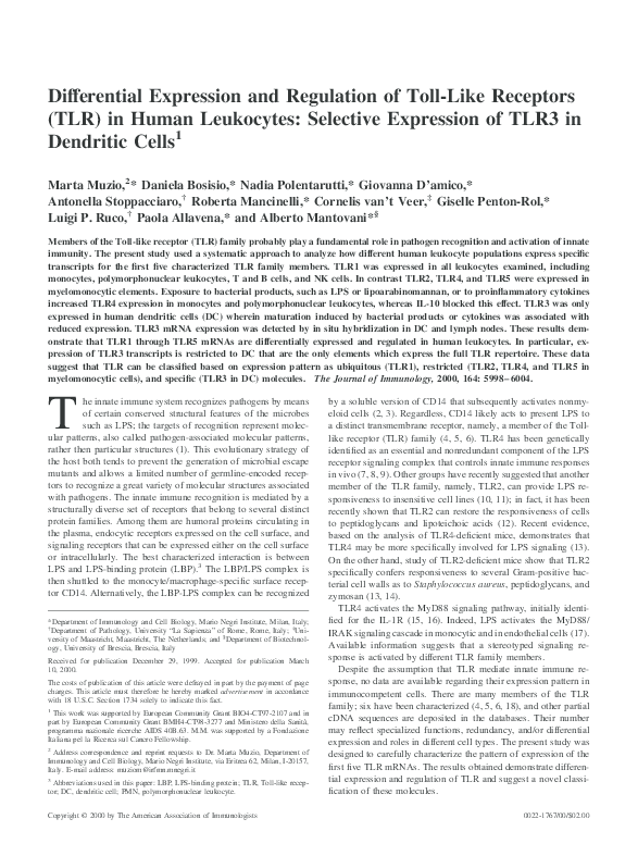(PDF) Differential Expression and Regulation of Toll-Like Receptors ...