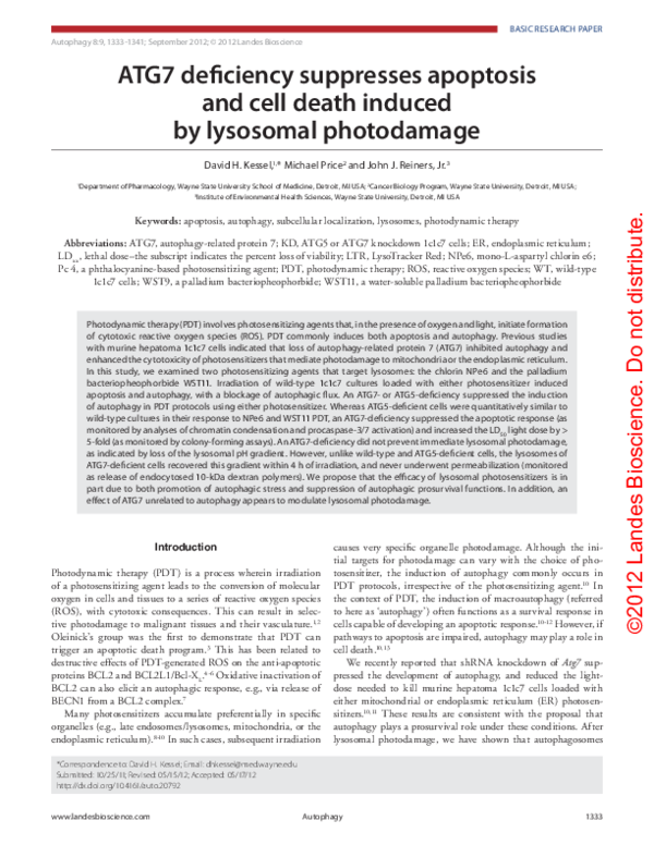 (PDF) ATG7 deficiency suppresses apoptosis and cell death induced by ...