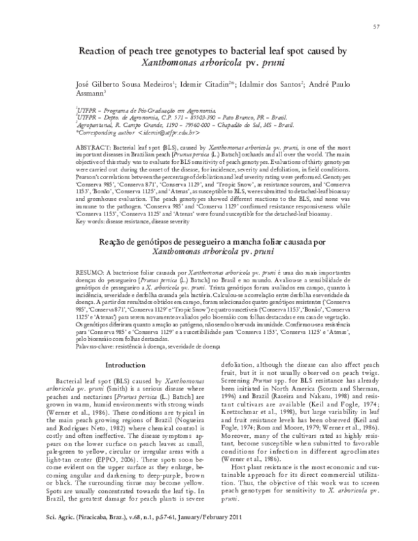 Thesis on xanthomonas 07 image