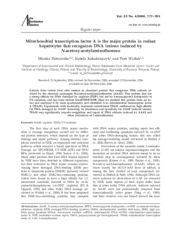 (PDF) Mitochondrial transcription factor A is the major protein in ...