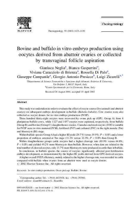 (PDF) Bovine and buffalo in vitro embryo production using oocytes ...