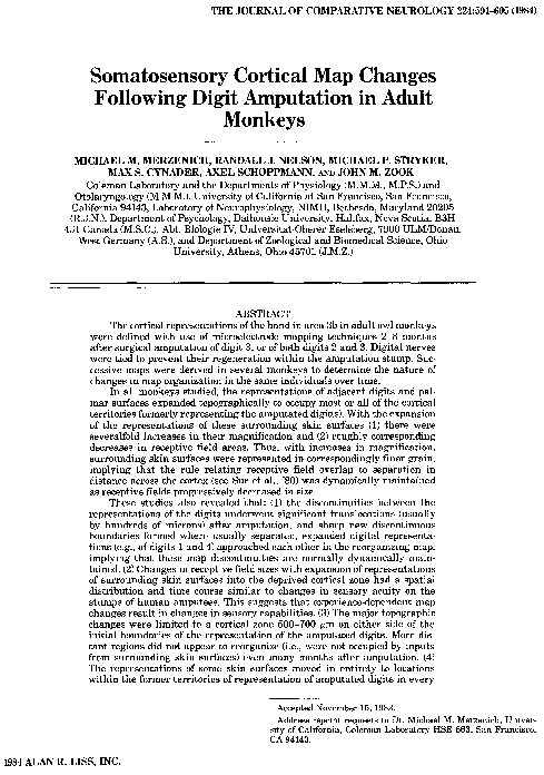 (PDF) Somatosensory cortical map changes following digit amputation in ...