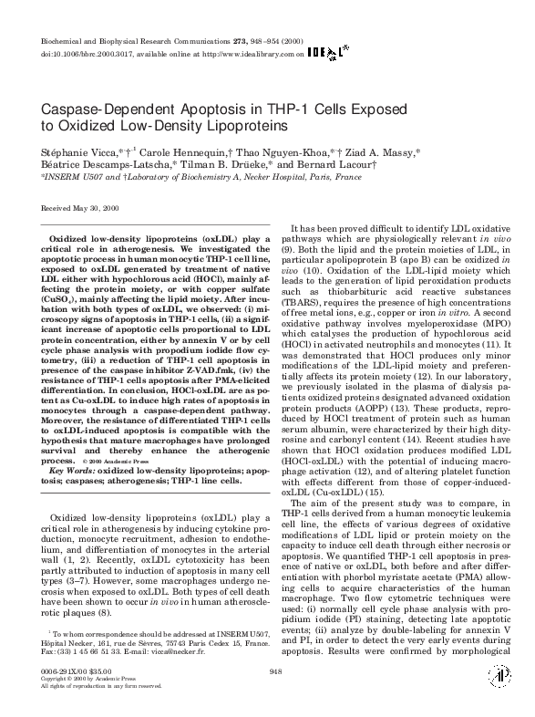 (PDF) Caspase-Dependent Apoptosis in THP-1 Cells Exposed to Oxidized ...