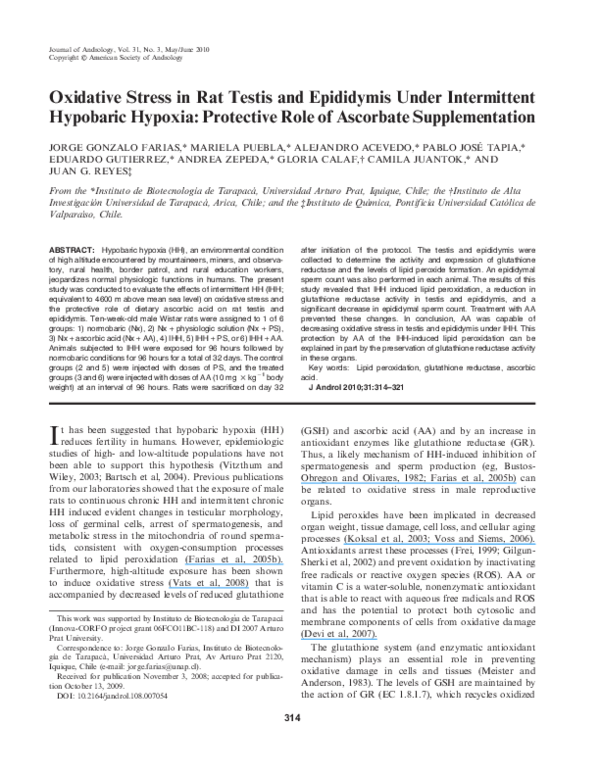 (PDF) Oxidative Stress in Rat Testis and Epididymis Under Intermittent ...