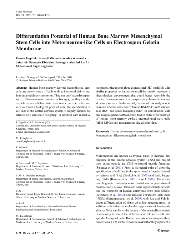 (PDF) Differentiation Potential of Human Bone Marrow Mesenchymal Stem ...