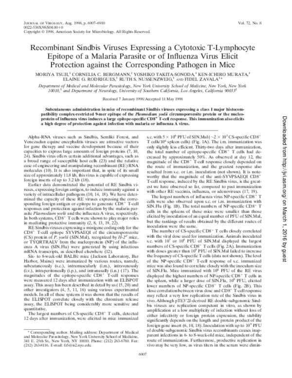 Parasitic pathogen essay picture
