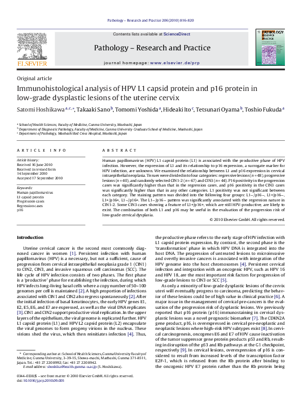 (PDF) Immunohistological analysis of HPV L1 capsid protein and p16 ...