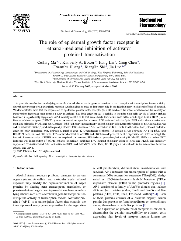 (PDF) The role of epidermal growth factor receptor in ethanol-mediated ...
