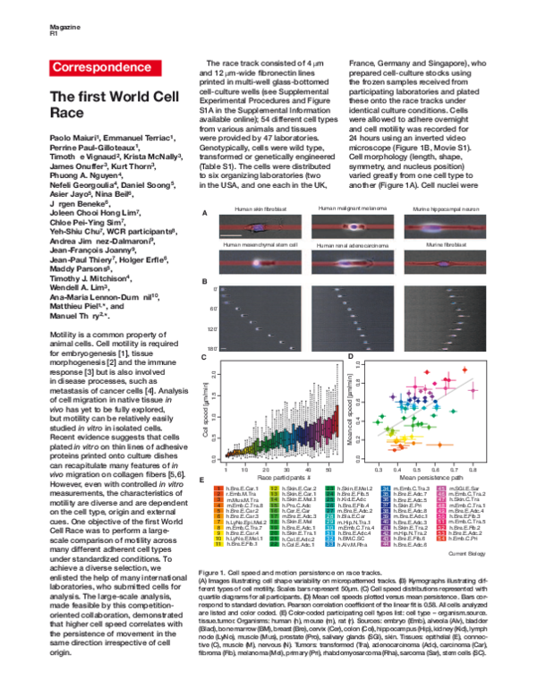 (PDF) The first World Cell Race