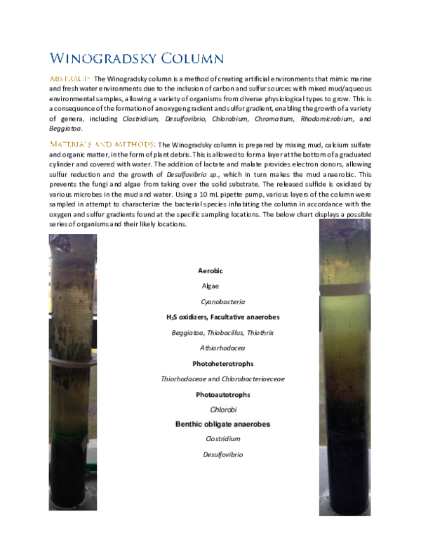 (PDF) The Winogradsky Column John A Lucci Academia.edu