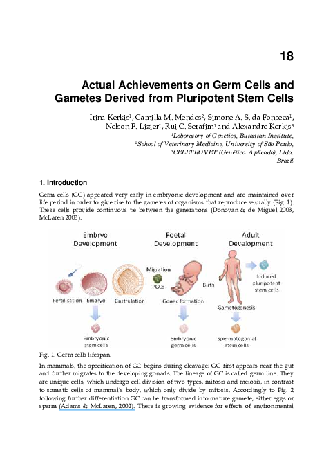 Difference between male and female gametes picture