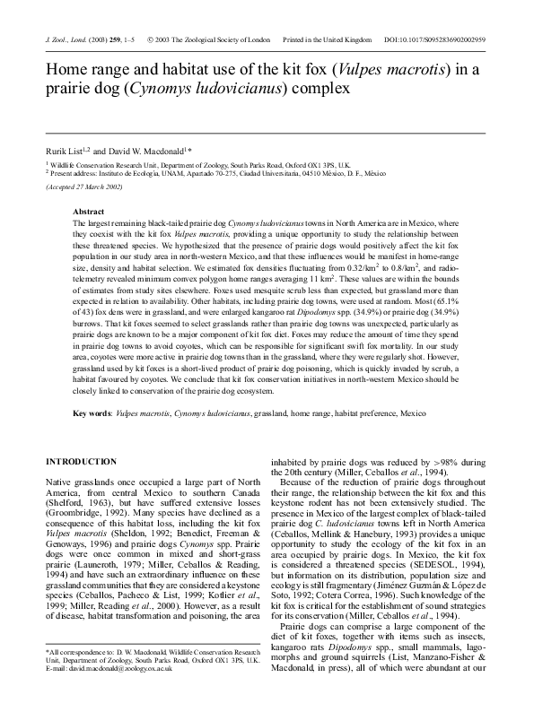 Prairie dog new mexico picture