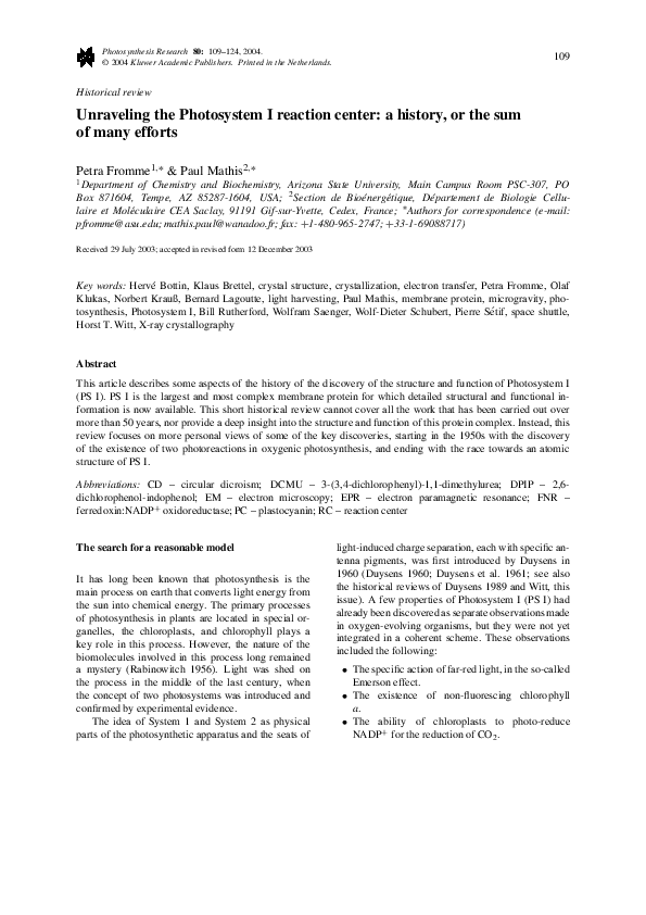 What are photosystems picture