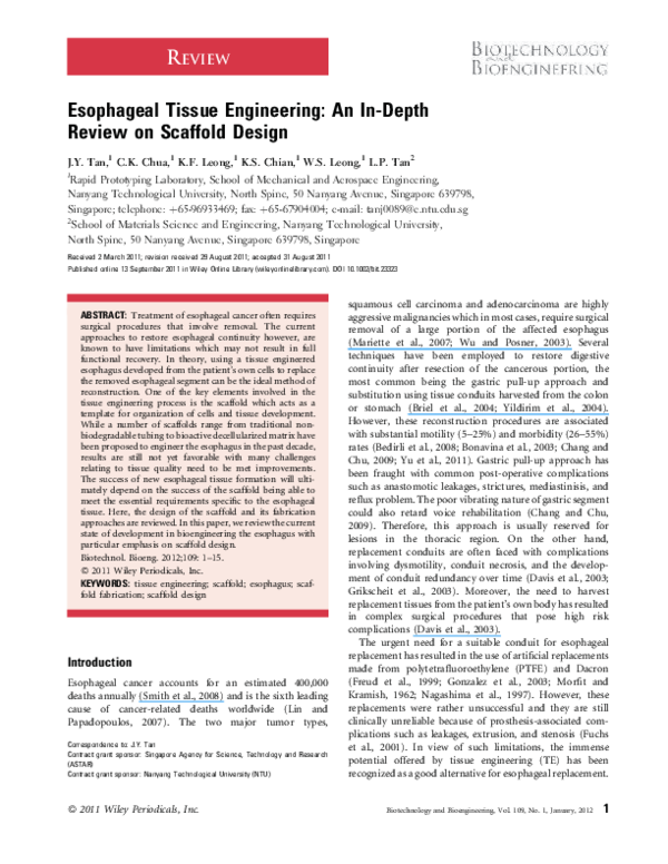 Tissue engineering essays 08 image