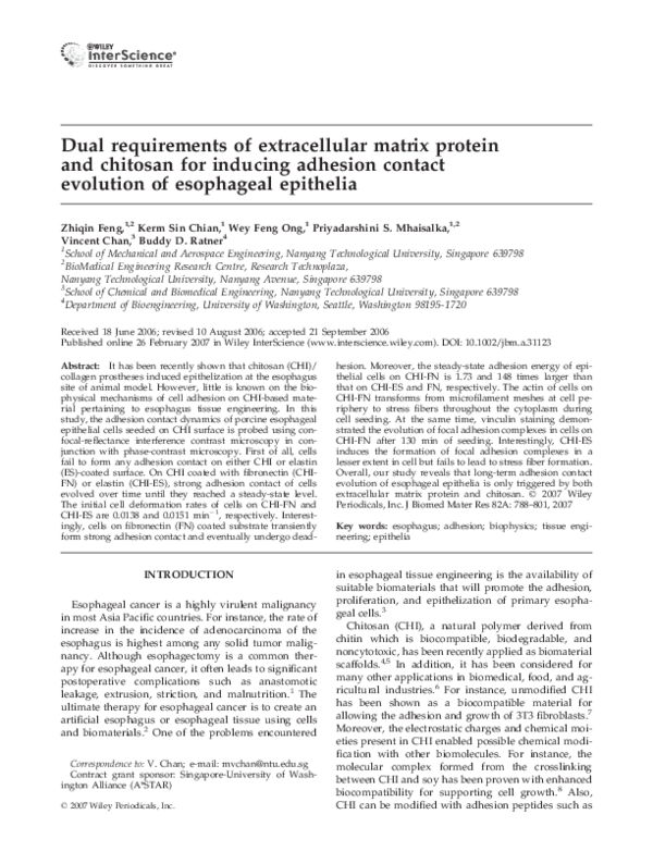 (PDF) Dual requirements of extracellular matrix protein and chitosan ...