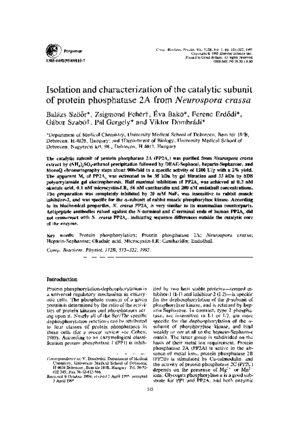 Neurospora crassa essay image