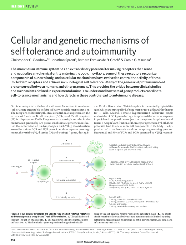 (PDF) Cellular and genetic mechanisms of self tolerance and autoimmunity
