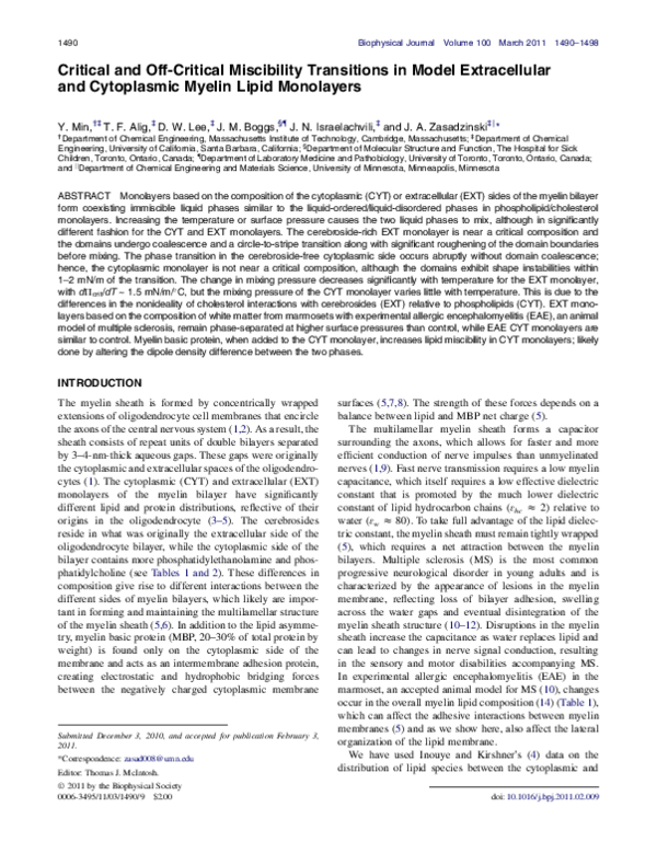 Myelin sheath damage image